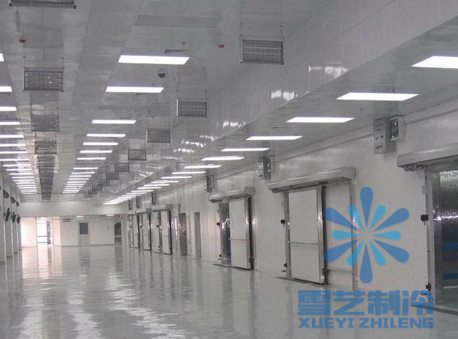   1000噸速凍冷庫價格多少錢？冷庫造價，1000噸速凍冷庫