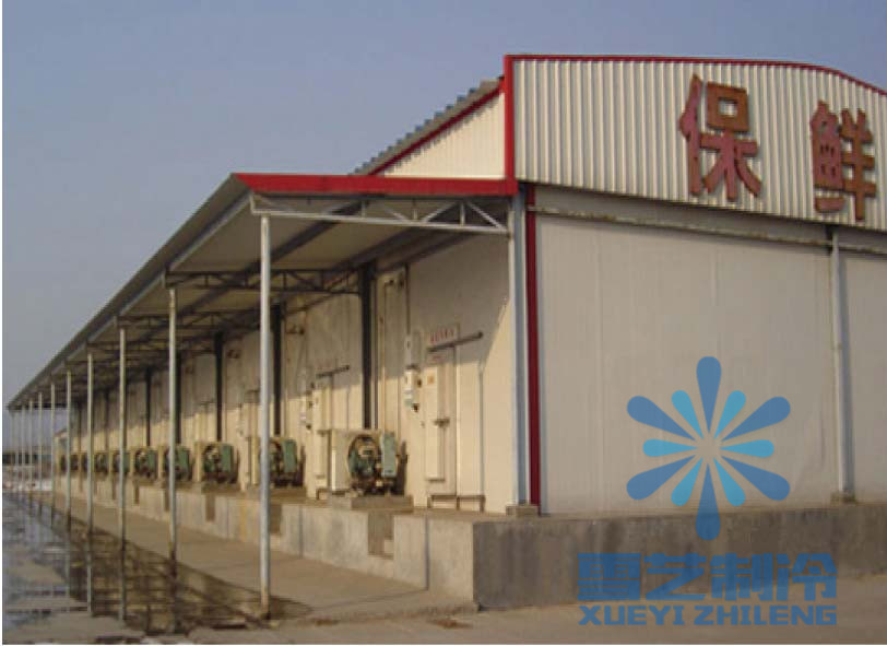 香蕉冷庫(kù)設(shè)計(jì)安裝，香蕉冷庫(kù)建造須知
