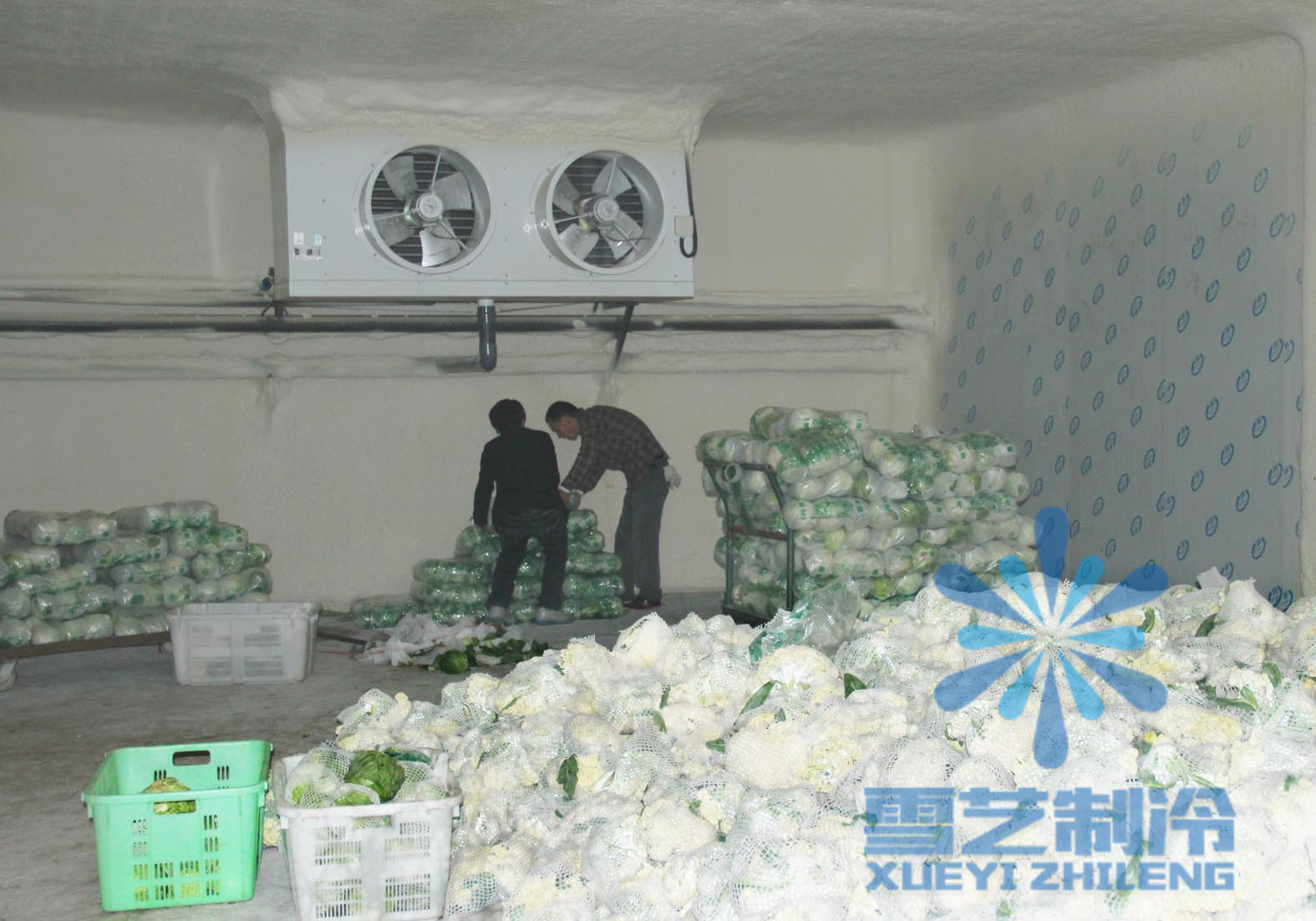 浙江蔬菜保鮮冷庫(kù)設(shè)計(jì)安裝，保鮮冷庫(kù)造價(jià)多少錢