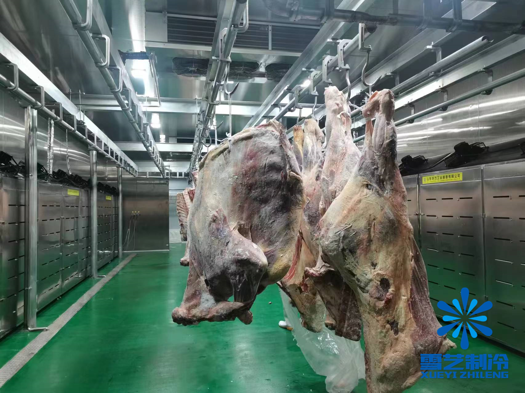 緩化庫，肉類解凍冷庫1.jpg