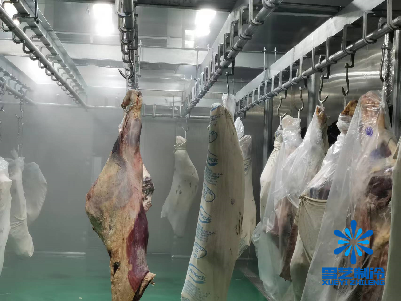 緩化庫，肉類解凍冷庫115.jpg