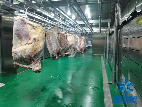 浙江海鮮肉類低溫高濕解凍庫、緩化庫工程案例